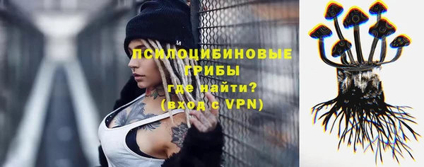 Альфа ПВП Баксан
